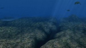 "Строение земной коры", §3 География 7 класс ч.1, Домогацких.