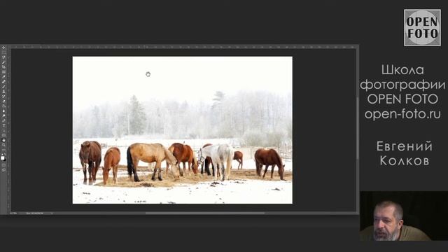 Разбор фотографий с Евгением Колковым #5 смотреть онлайн