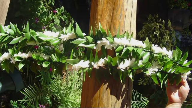 Roberta's 8-piece Double Pearl Tuberose With Flower Magic On QVC