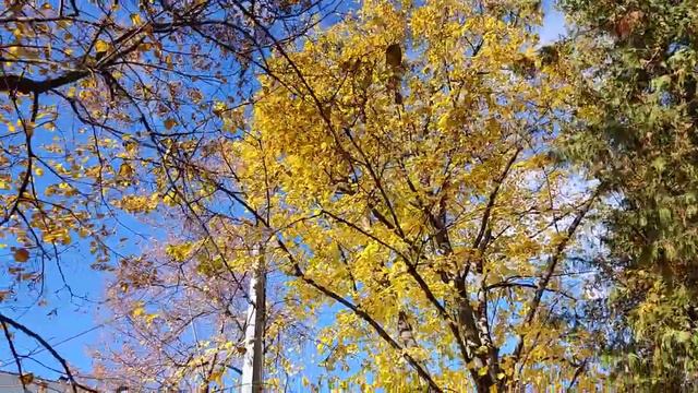 Харьков 31 октября Как мы? смотреть онлайн