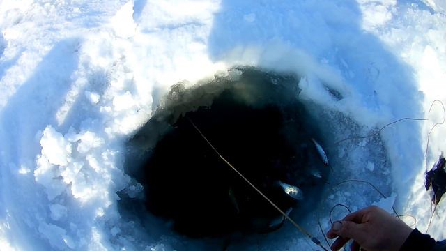 Весенний перемёт! смотреть онлайн