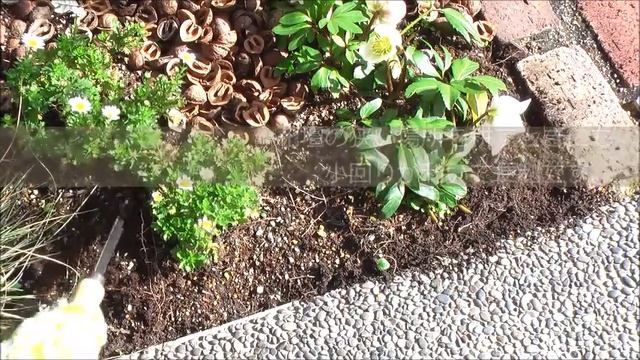 パティオナイフ　DEWIT GARDEN TOOL 【No.3059】