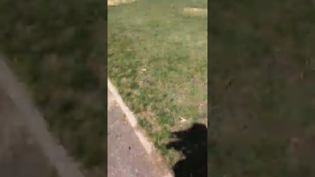Ой ослики смотреть онлайн