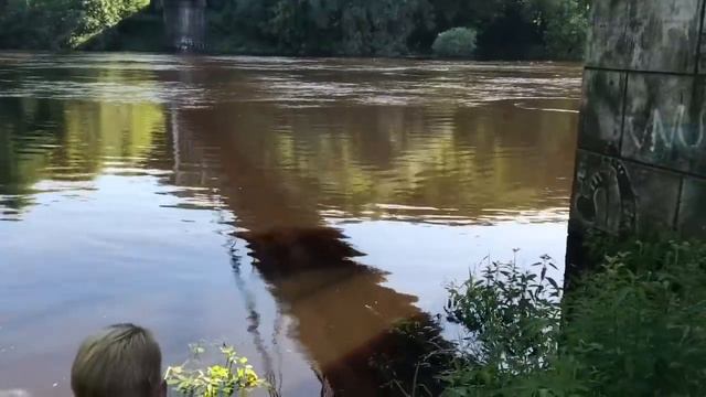 Резанули по щеке.Все хотят бесплатно.(17.06.20г) смотреть онлайн