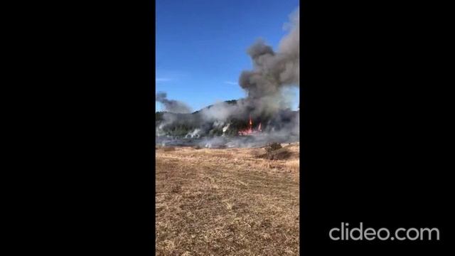 Вятско-Полянский район пожар в лесу смотреть онлайн