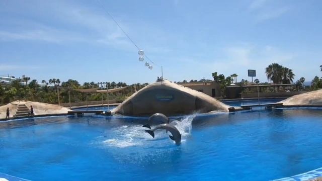 Поход в Aqualand?. Costa Adeje, Tenerife, апрель 2021 смотреть онлайн