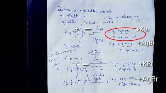 Halo alkanes react with kcN to form of alkyl cyanides as main product while AgcN form isocyanide as смотреть онлайн