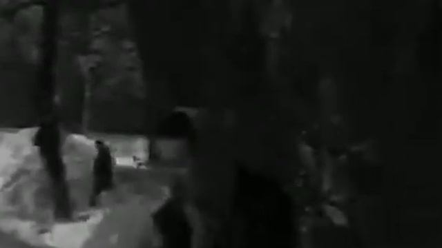 Там доспели ели ели смотреть онлайн