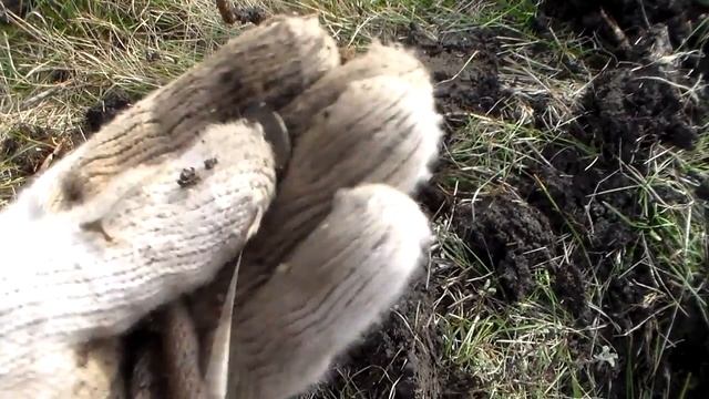 Клевая Древность! СУПЕР Всадник плюс Находки на Металлодетектор Коп Монет смотреть онлайн