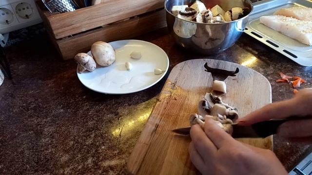 Мини печь/Аэрогриль/Дегидратор Mofen L24 OBERHOF