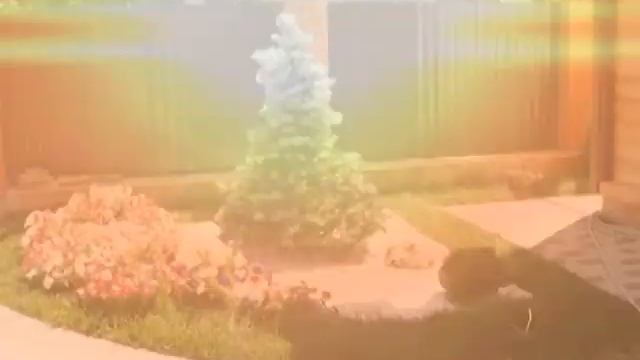 Атмосфера Юг смотреть онлайн