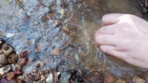 Поиск камней в ручье Московской области - халцедон, беслоснежный кварц, возможно яшма...