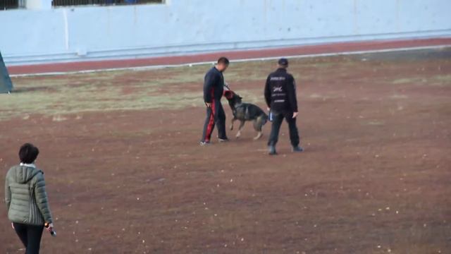 IPO 3 раздел C. н.о TRISTAN и проводник Bahteeva Alina