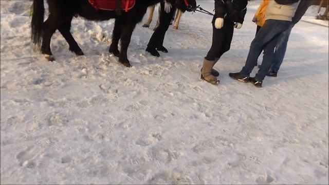 # 94  НОВОСИБИРСК Парк им. Кирова в марте* 1часть
