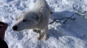 рыбалка Воркута