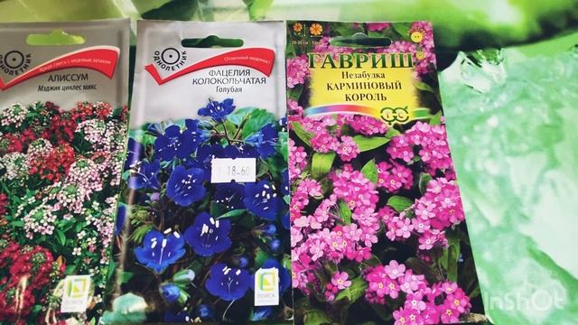 ???ЦВЕТЫ будущего!!! Семена лучших , красивых и неприхотливых!#семенацветов2023#неприхотливыецветы смотреть онлайн