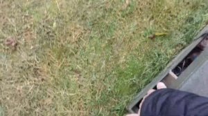 Станция ТОПАС 5 Переполнение и чистка