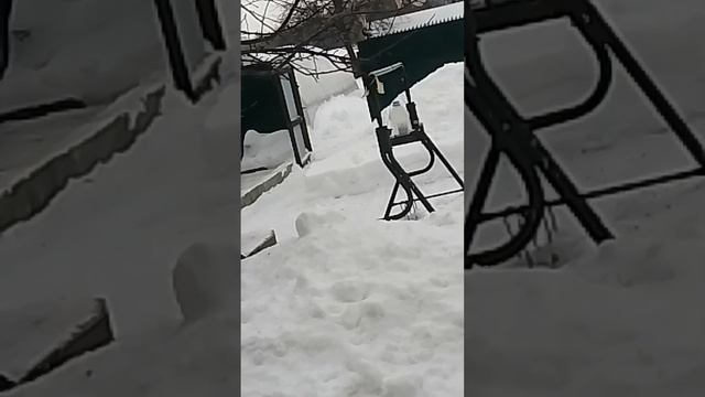 синицы едят сало смотреть онлайн