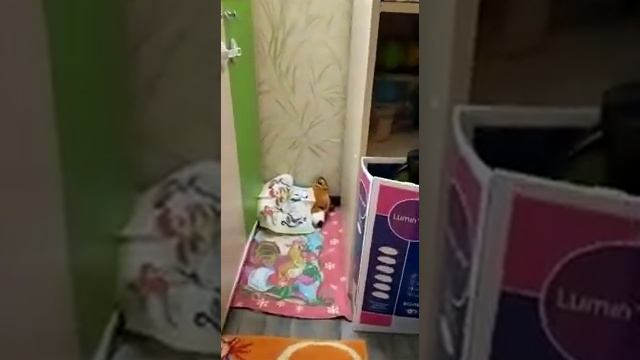 мои спящие животные смотреть онлайн