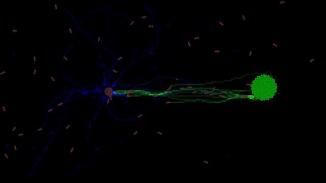 Python Ant Pheromone Simulation - WIP смотреть онлайн