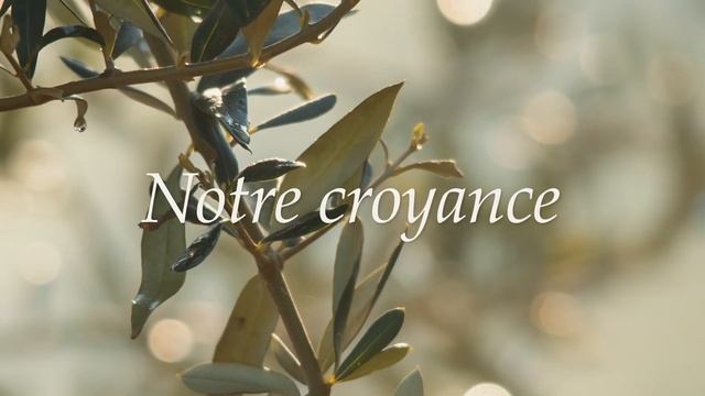 Le Petit Olivier - Simplement Nature смотреть онлайн