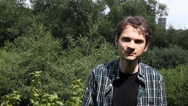 Тля на чёрной смородине. Как бороться?