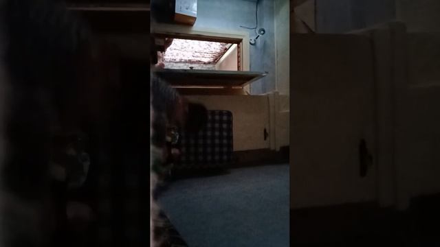 когда брат мне помешал и когда он тоже хотел поснимать смотреть онлайн