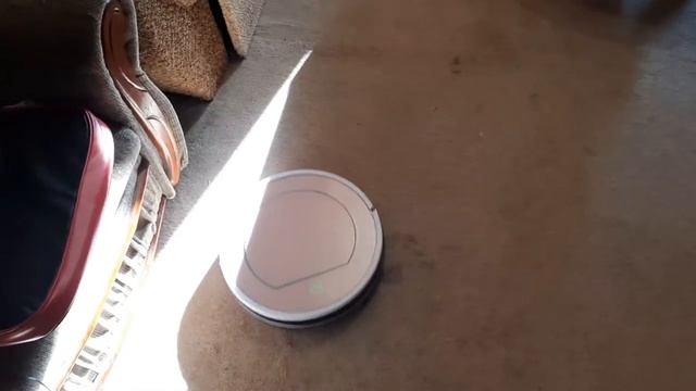 Сколько пыли собирает робот-пылесос смотреть онлайн