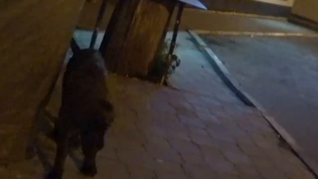 ДОЕХАЛ ДО МОРЯ НА ЭЛЕКТРОСАМОКАТЕ - 2 часть смотреть онлайн