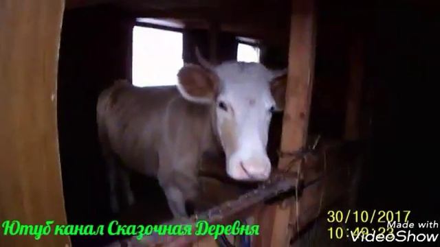 Куда же мы пропали? смотреть онлайн