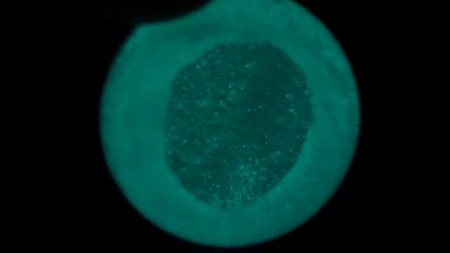 Glow in the dark glass marble смотреть онлайн