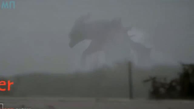 ОНИ СУЩЕСТВУЮТ | 10 ДРАКОНОВ СНЯТЫХНА ВИДЕО