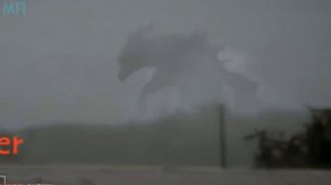 ОНИ СУЩЕСТВУЮТ | 10 ДРАКОНОВ СНЯТЫХНА ВИДЕО