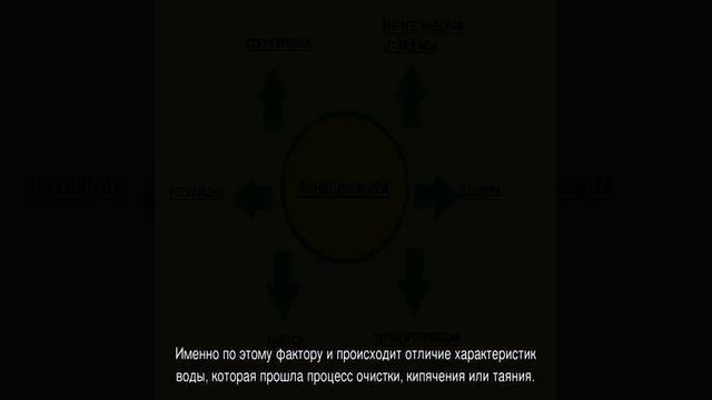 Функции жиров в организме смотреть онлайн