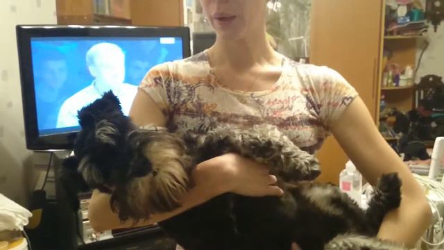 лёвка смотреть онлайн