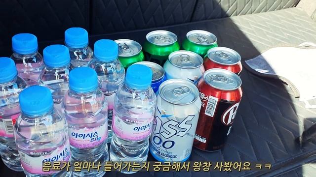 테슬라 냉장고 I'm 만족에요 | 차크닉 | 모델y 추천템