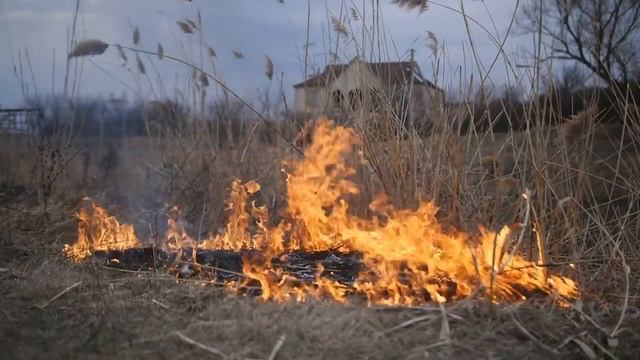 ЧЕРНЫЕ КРЫЛЬЯ | Глава 19-20 | Страшная история на ночь | Черный Рик смотреть онлайн