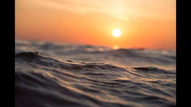 Ксения Газиева Никогда не сдавайтесь смотреть онлайн