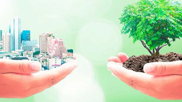 Паисий Святогорец - Освятившегося и лукавого смотреть онлайн