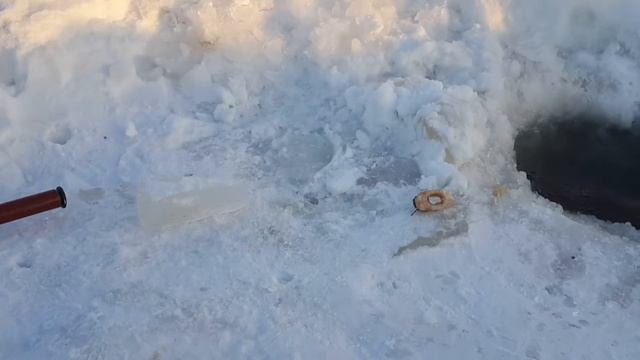 Рыбалка 28 января на Амуре. Проверка подпуска, хапуги. смотреть онлайн