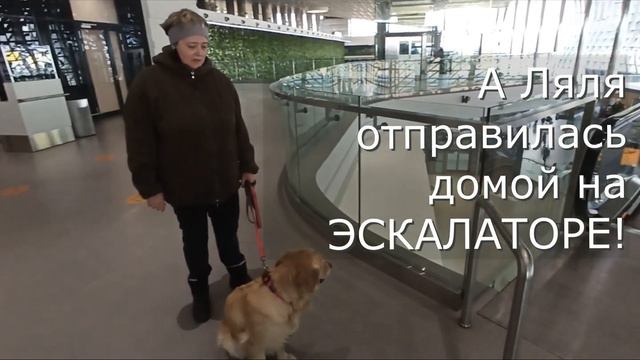 Ляля провожает Сандру