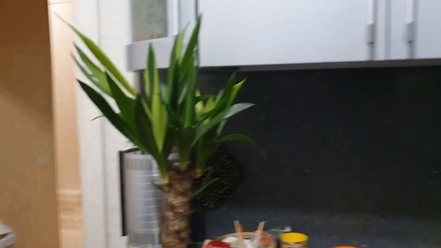 Влог?♀️Не знала,что женщины бреют лицо?Пересаживаю Юкку?Рисую?Отдадим диваны? смотреть онлайн