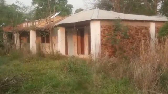 Ураган и снова Солнце.#vlog #paraguay смотреть онлайн