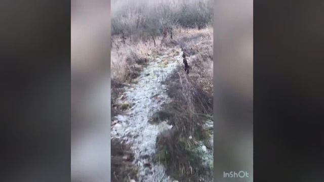 Дербент .Сосновый бор.Заповедник Джалган смотреть онлайн