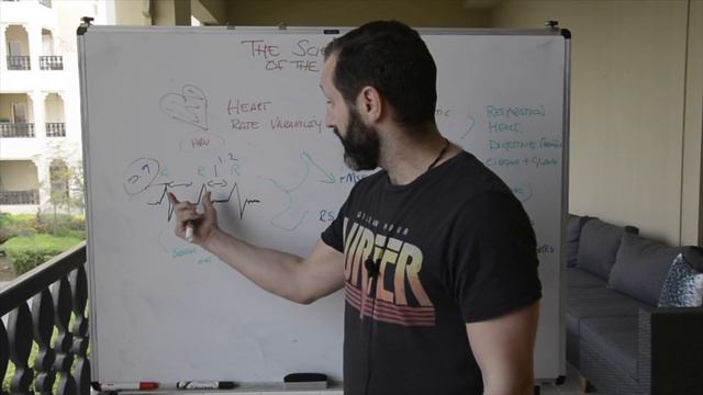 HRV - Heart Rate Variability (The Science of Flow Part 4/7) смотреть онлайн