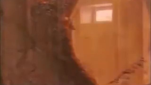 Полезность дома из кедра смотреть онлайн