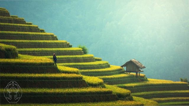 Zen Music, Meditation Music, Chinise Music,