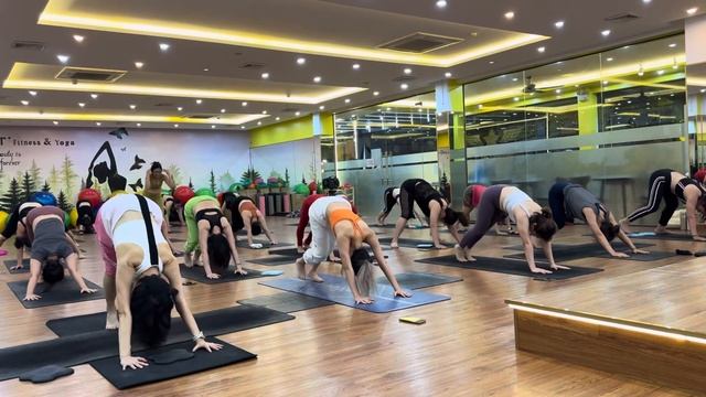 DAY-9 Twisting & Backbend Yoga Flexibility & Mobility | Master Ranjeet Singh Bhatia Yoga Shorts |