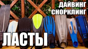 Выбор ласт для снорклинга и дайвинга