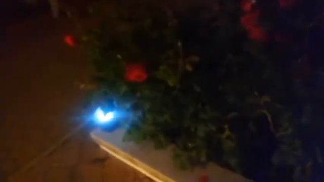 ПУТЕШЕСТВИЕ ПО МИРУ С PIKALEX_68@RU НОЧНОЙ СУДАК 2021